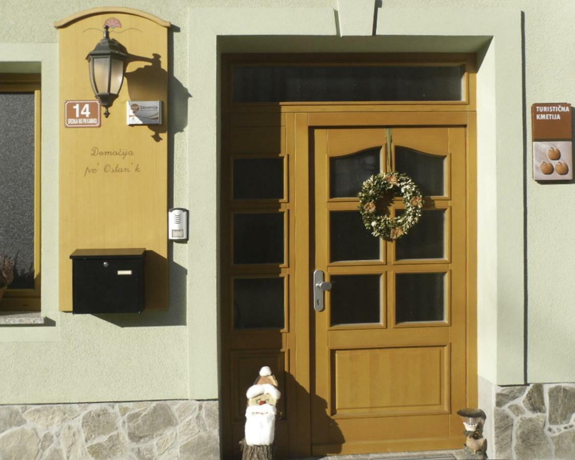 Apartmaji Hribar Pr'Ostank 卡姆尼克 外观 照片